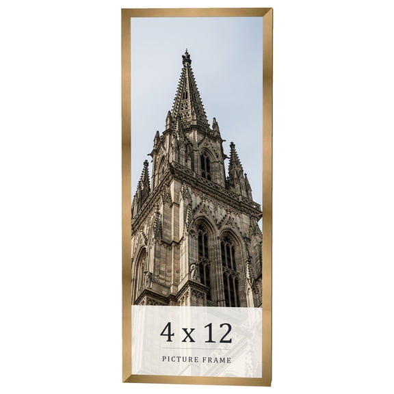 4x12 IN Frame Gold Bronze Solid Wood Picture Frame Width 0.75 Inches | Interior Frame Depth 0.5