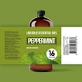 thumbnail image 2 of LAB BULKS ESSENTIAL OIL Lab Bulks Peppermint Essential Oil 16 oz Bottle, for Diffusers, Home Care, Candles, Cleaning, Spray 2 Pack, 2 of 9