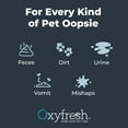 thumbnail image 5 of Oxyfresh Advanced Pet Stain Remover & Urine Odor Eliminator – Fast Acting Pet Odor Eliminator for All Surfaces - Best Way to Remove Stains - Dog & Cat Urine Neutralizer, 5 of 12
