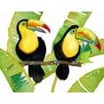 thumbnail image 2 of Escobedo, Mary 14x12 Black Ornate Wood Framed with Double Matting Museum Art Print Titled - Tropcial Toucan Pair, 2 of 4