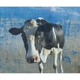 thumbnail image 3 of Phillip, Jamie 14x12 Black Modern Framed Museum Art Print Titled - The Cow 2, 3 of 5