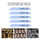 thumbnail image 5 of Saw Blade Jigsaw Blade Hand Saw Blade Saber Saw Blade 5Pcs Metal Reciprocating Saw Blade Woodworking Cutter Kit Power Tool 150mm / 5.9inS922BF ANGGREK AF1011, 5 of 8