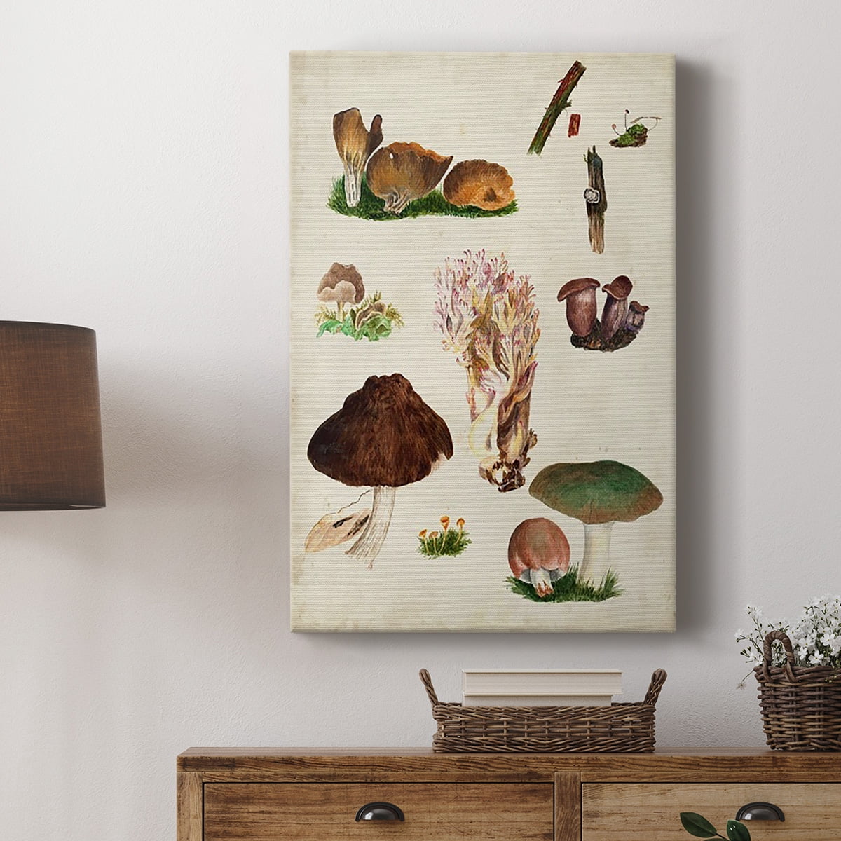 Mushroom Species IX Premium Gallery Wrapped Canvas - Ready to Hang