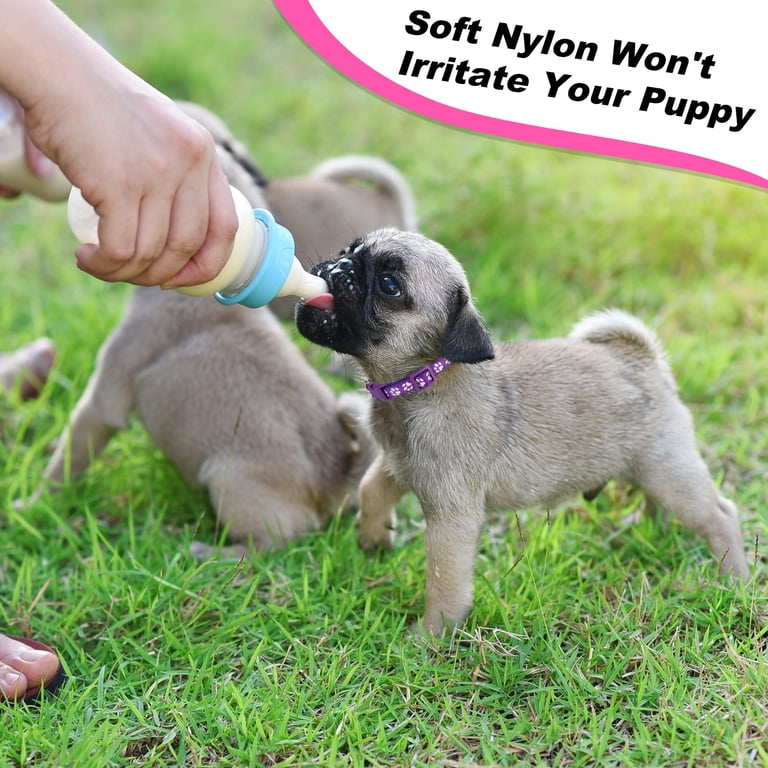 Prdigy 18-Pack Puppy Collar Set, Multicolor Quick Release photo 6