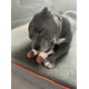 thumbnail image 5 of Juguete para Perro Match & Enjoy Vaca Interactivo, 5 of 5
