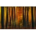 thumbnail image 2 of Paul Kraaij, Jan 24x17 Gold Ornate Wood Framed with Double Matting Museum Art Print Titled - Autumn falls, 2 of 4