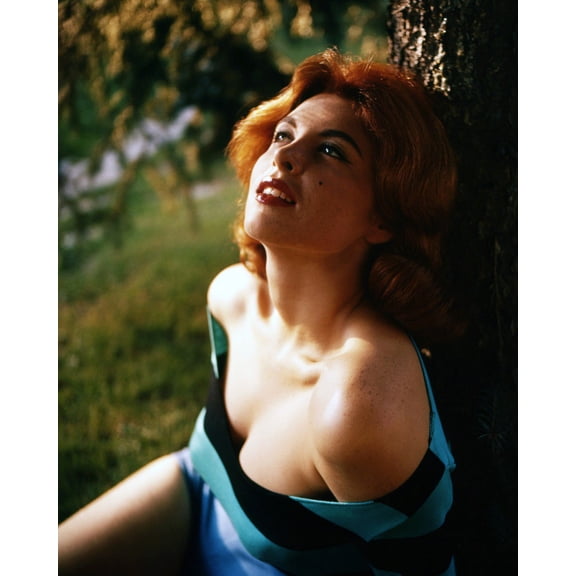 Tina Louise 24X36 Classic Hollywood Poster Rare Pose With Blue Glamour Outfit Pulled Down To Beauty