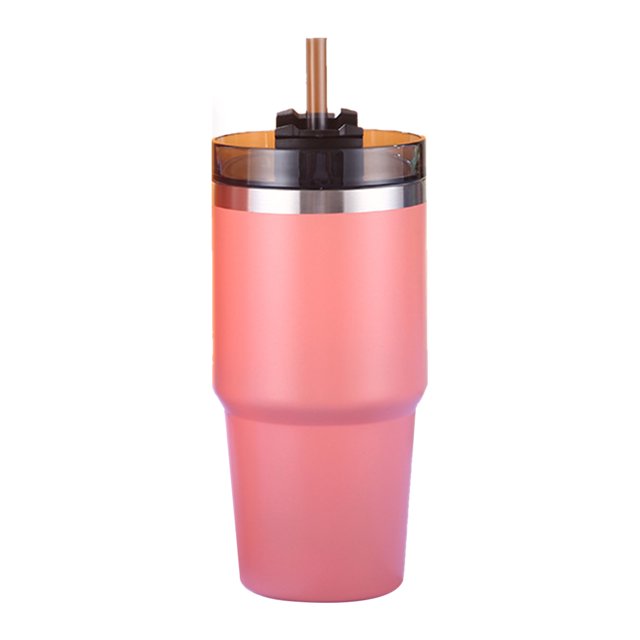 Yeacher 20oz Insulated Cup with Lid and Straw Reusable 304 Stainless Steel Water Bottle Iced Coffee Bear Travel Mug for Car Gym Fitness