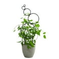 thumbnail image 2 of JZROCKER 14” Round Climbing Vine Trellis Metal Iron Plant Support Frame Garden Bracket, 2 of 8