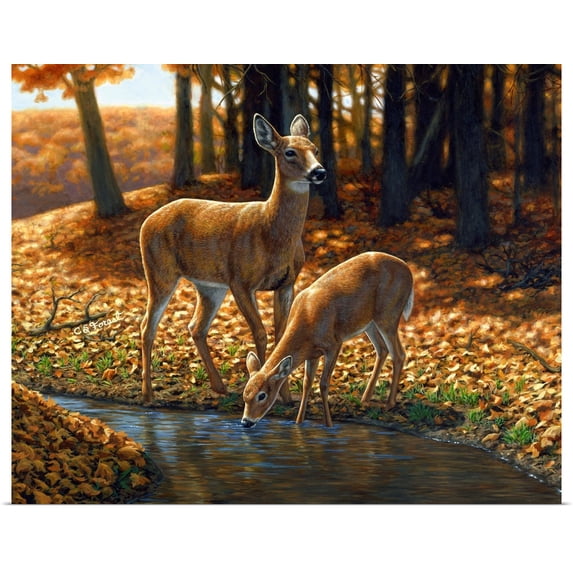 Great BIG Canvas | Rolled Crista Forest Poster Print entitled Autumn Innocence I