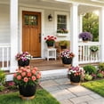 thumbnail image 5 of FIASON 9 Pack Self Watering Plant Pots, 5/5.5/6/6.5/7/8/9/10/12 Inch Black with Brown Flower Pots with Watering Lip, Drainage Holes & Removable Saucer for Indoor Outdoor Use, 5 of 10