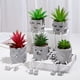 thumbnail image 4 of Expresión Adornos En Maceta,Plantas Artificiales Decoraciones En Macetas Plantas Artificiales Decoraciones En Macetas Plantas Suculentas Maceta Características Líderes De Clase, 4 of 5