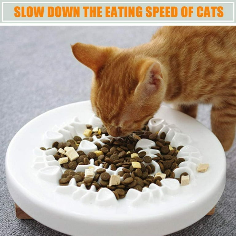 Whisker City Food & Water Bowls  It'S Okay To Play With Your Food Slow  Feeder Mat With Bowl - Cat < Fred Studio Photo