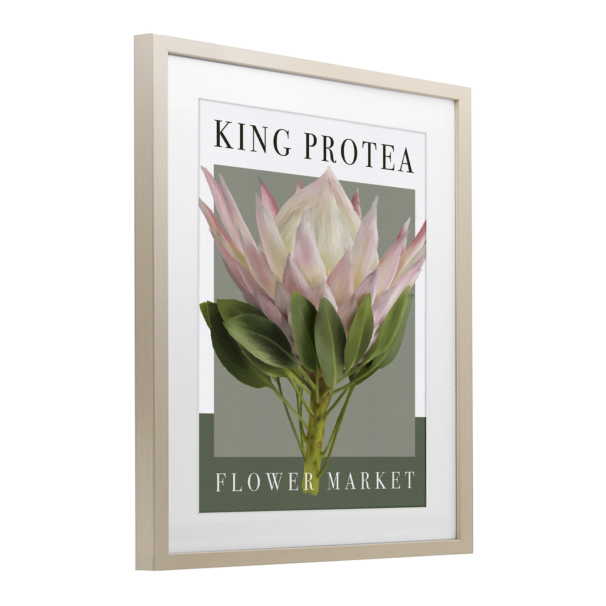 Stupell Industries King Protea Flower Market Birch Framed Print Under Glass, design by Jennifer Stith