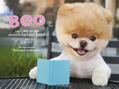 Boo the World Boo the World