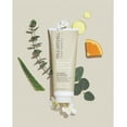 thumbnail image 3 of Paul Mitchell Clean Beauty Everyday Conditioner, 1L, 3 of 5
