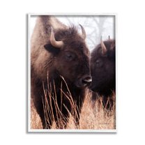 Stupell Industries Bison Cattle Couple Tall Grass Autumn Country Photography, 24 x 30,Design by Debra Van Swearingen
