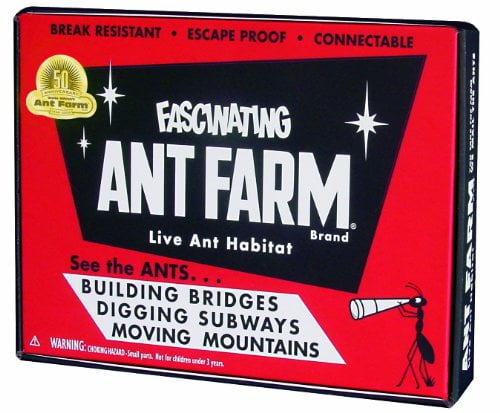 educational insights ant farm