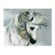 thumbnail image 2 of Kits de pintura de diamantes de animales coloridos, decoración de pared de diamantes de imitación, bordado, punto de cruz, artesanía Inevent HA6278-06B, 2 of 6