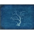 thumbnail image 2 of LightBoxJournal 32x25 Gold Ornate Wood Framed with Double Matting Museum Art Print Titled - Gypsy Blue Cyanotype V2, 2 of 4