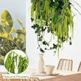 thumbnail image 4 of Triani 5Pcs  Preserved Amaranthus Flowers 16"-28" Wisteria Hanging Vine Flowers Dried Amaranthus Hanging Flowers for Wall Hanging Flower Arrangement Vase（Light Green）, 4 of 7