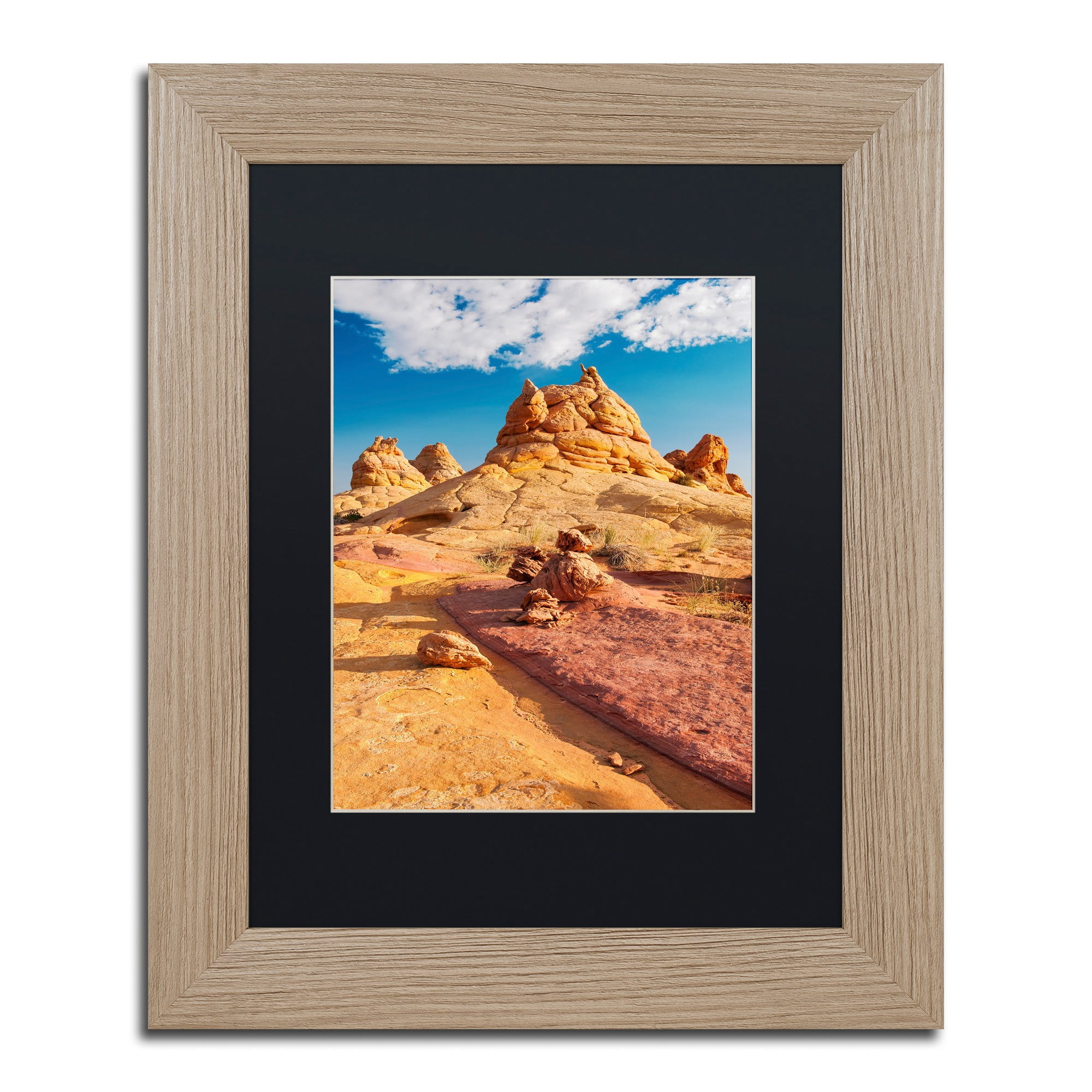 Trademark Fine Art "Viking Horns" Canvas Art by Michael Blanchette Photography Black Matte, Birch Frame