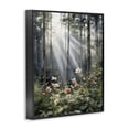 thumbnail image 2 of Stupell Industries Farmhouse Sunlit Woods In Morning Black Framed Giclee Art, 11 x 14, by Franklyn Gregory, 2 of 8