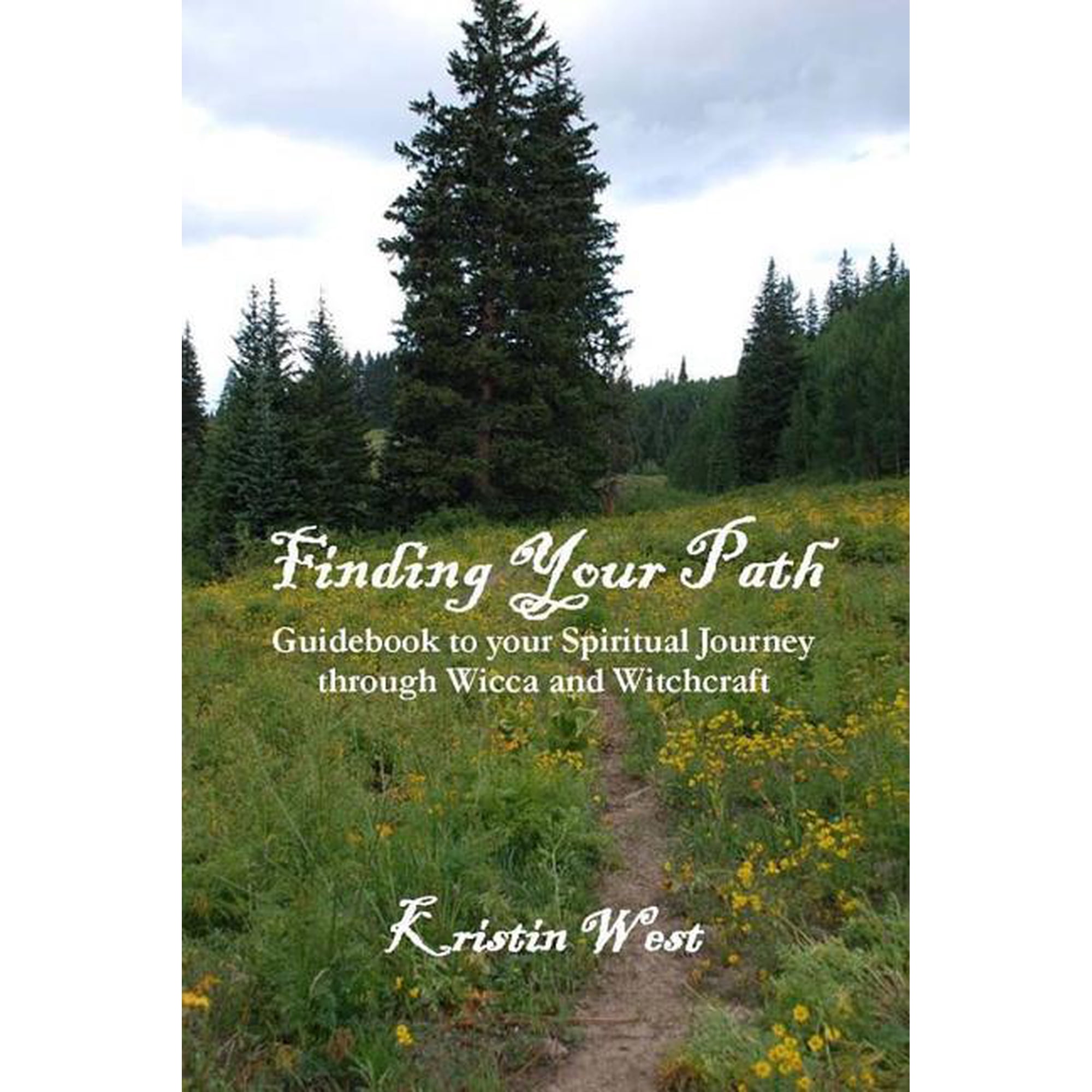 Finding Your Path (Paperback)