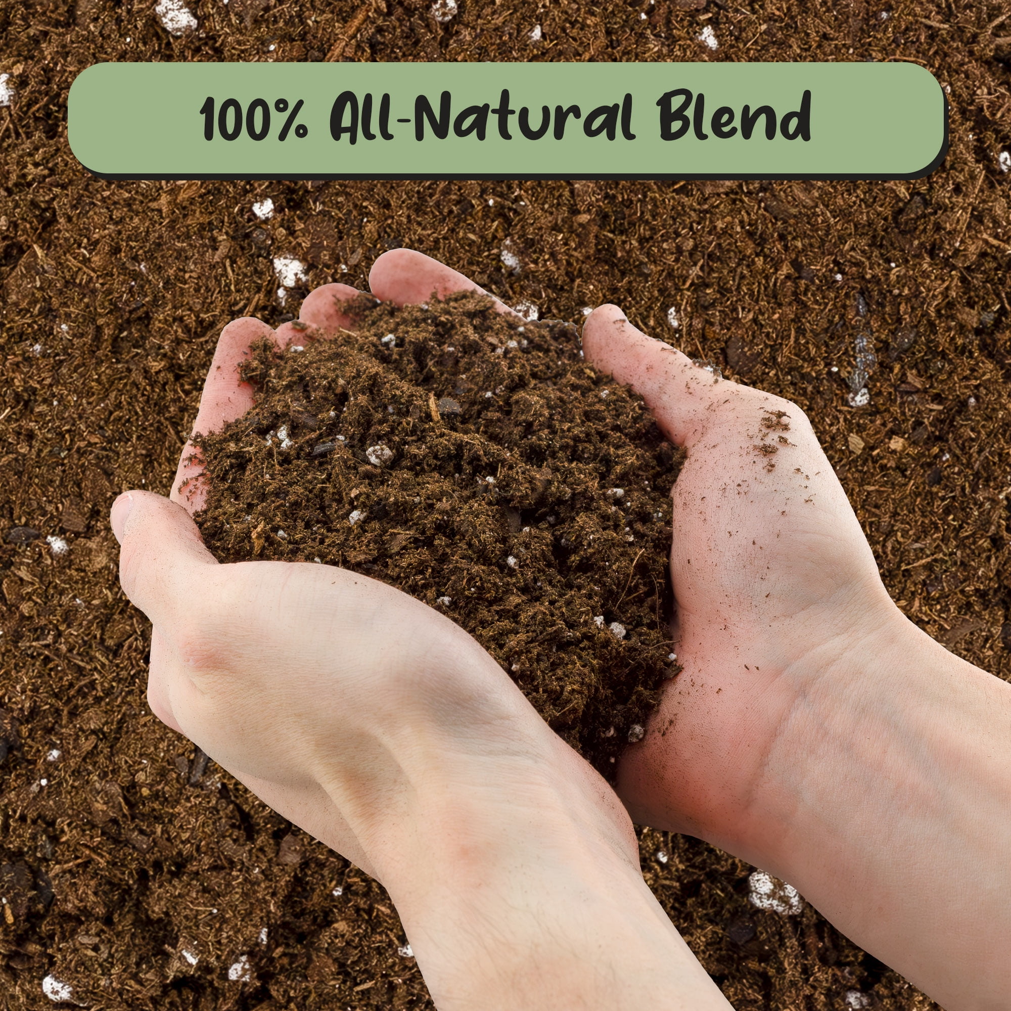 Premium Fiddle Leaf Fig Tree Soil (12 Quarts) - Expert Formula for Vibrant Growth - Nutrient-Rich Potting Mix, Specifically Designed for Healthy Indoor, Outdoor, and Potted Fiddle Fig Plants