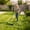 Green-16inch, variant on Push Reel Lawn Mower 14 Inch, 5-Blade Manual Reel Mower Walk-Behind, Adjustable Cutting Height Hand Push Mower for Small to Medium Yards, Quiet Lawn Care Tool, Green