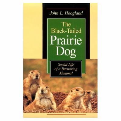 Pre-Owned The Black-Tailed Prairie Dog: Social Life of a Burrowing Mammal (Paperback) 0226351181 9780226351186
