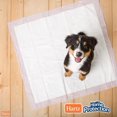 thumbnail image 5 of Coussins pour chien - Hartz Home Protection Training Pads™, 5 of 5
