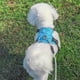 thumbnail image 3 of Laklulu Correa mediana para perro sin tirar, correa reflectante ajustable para chaleco de entrenamiento para perros, fácil de controlar, 3 of 6