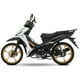 thumbnail image 3 of Motocicleta AT130 RT Color Blanco 2026, 3 of 4