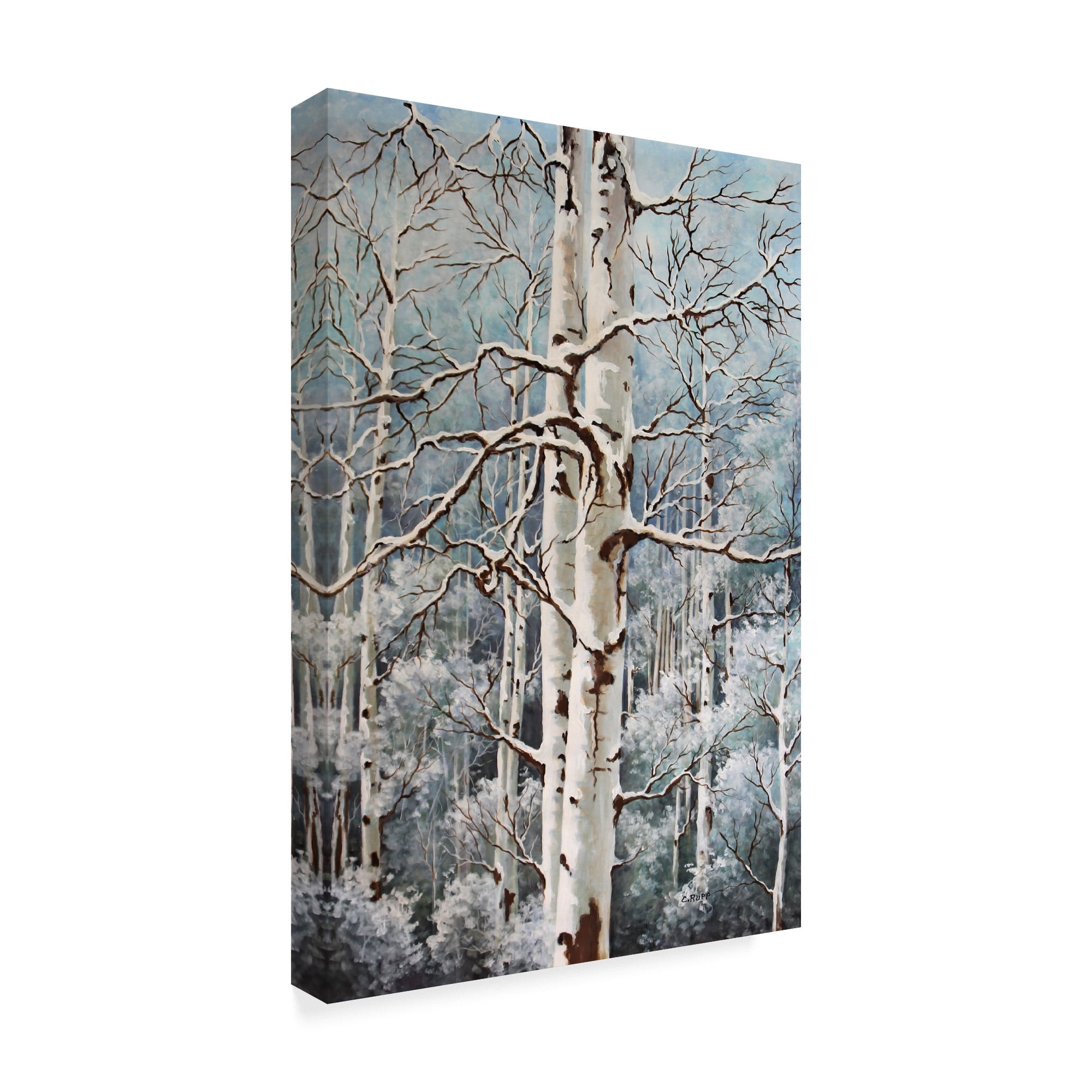Trademark Fine Art 'Aspen Duo Winter' Canvas Art by Carol J Rupp