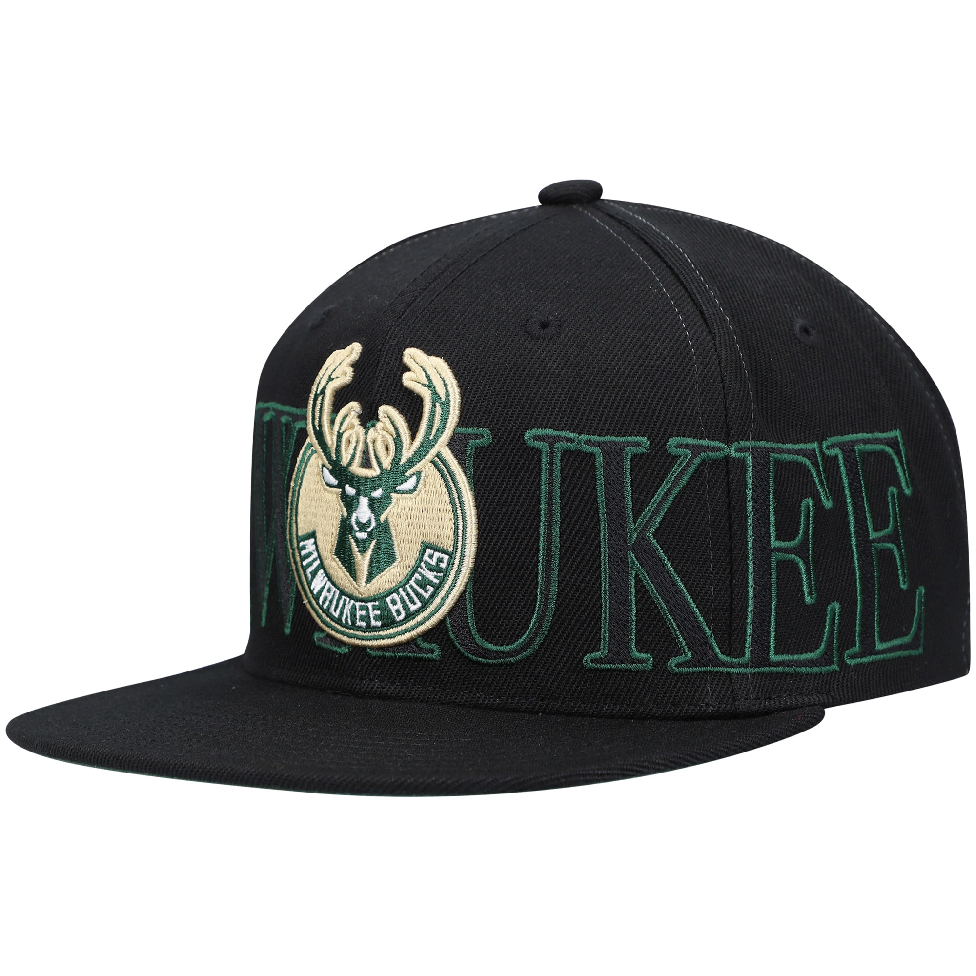 Circle Snapback Hat - OSFA 