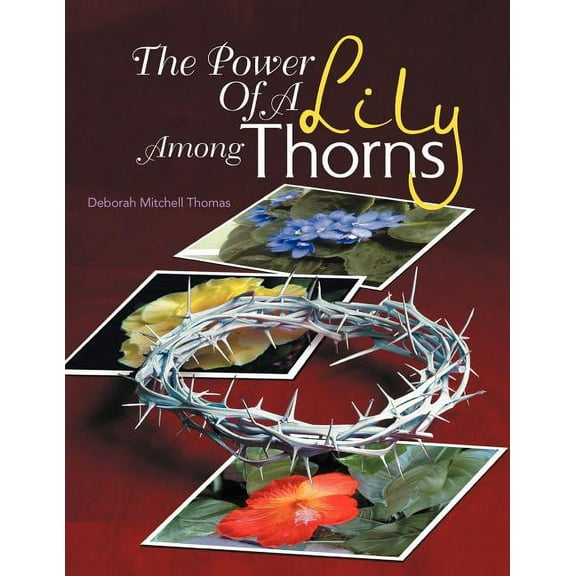 The Power Of A Lily Among Thorns (Paperback)