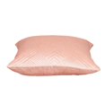 thumbnail image 2 of Parkland Collection PILL21390P Gaia Transitional Pink Square Throw Pillow, 2 of 2