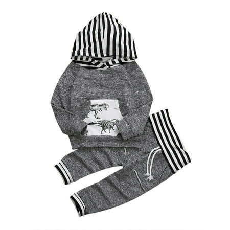

Frecoccialo Toddler Baby Boys Long Sleeve Dinosaur Hoodie Sweatshirt Pants Outfit