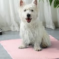 thumbnail image 5 of 100Fens New Ice Doudou Pet Ice Pad Summer Radiating Pad Breathable Pad Pet Supplies, 5 of 6