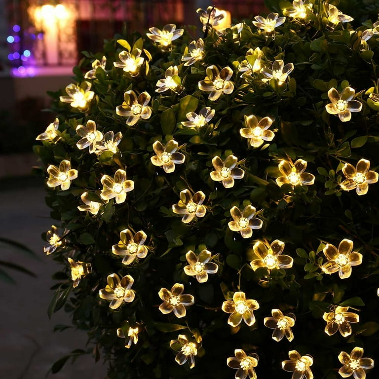 Qedertek Garden Solar String Lights,22.96ft 50 LED Solar Fairy Blossom Flower for Indoor/Outdoor,Patio,Lawn,Garden,Christmas,and Holiday Festivals Decorative Lights (Warm White) Qedertek Garden Solar String Lights,22.96ft 50 LED Solar Fairy Blossom Flower for Indoor/Outdoor,Patio,Lawn,Garden,Christmas,and Holiday Festivals Decorative Lights (Warm White)