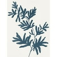 thumbnail image 3 of Isabelle Z 19x24 Black Modern Framed Museum Art Print Titled - Blue Twig II, 3 of 5