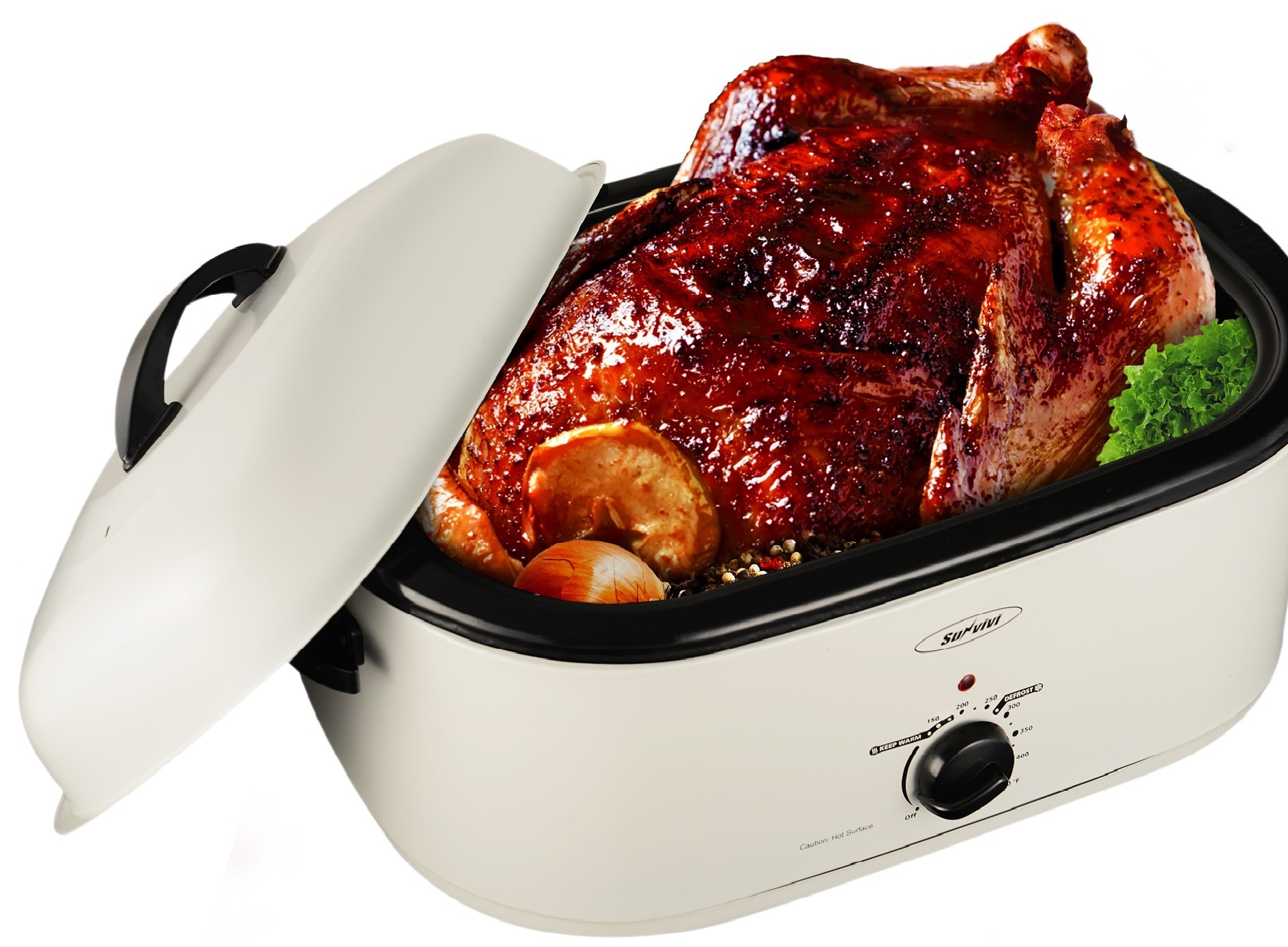 20 Quart Roaster Oven, Stainless Steel White