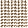 thumbnail image 1 of 100pcs Leather Craft Rivets DIY Purse Bag Feet Studs Bucket Type Spikes, 1 of 5