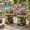 Yellow, variant on The Growing Ground 2 pack Turtle Planter with Drainage Hole, Indoor Outdoor Cute Decorative Plant Pots, Desk, Garden, Gift for Plant Lovers, Brown