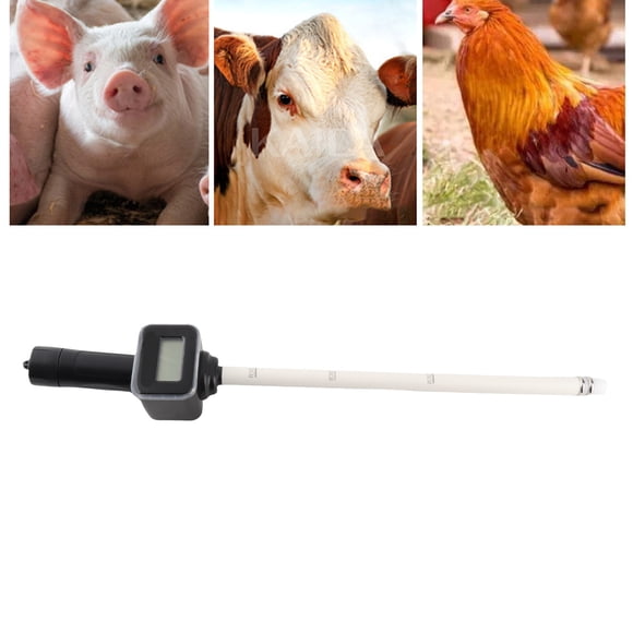 Probador De Ovulación Para Cerdos, Detector De Estro Para Cerdos, Polietileno Preciso, Funciona Con Pilas, Ligero, Resistente Al Agua Para Ganado