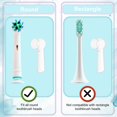 thumbnail image 4 of Étui de Voyage pour Brosse à Dents Électrique, Sac de Transport Rigide & 6 Pcs Couvercles de Brosse à Dents Sac de Rangement Protecteur Support de Brosse à Dents de Voyage Compatible avec Brosse à Dents Électrique Philips Sonicare, 4 of 6
