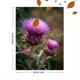 thumbnail image 3 of Qisvanset 12x16 Inch Sheep Farmhouse Canvas Print Wall Art, 3 of 5