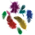 thumbnail image 2 of Zucker Guinea Plumage Vibrant Feather Mix, 2 of 2