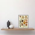 thumbnail image 2 of Vintage Botanical Ernst Haeckel Inspired Plant Study Modern Watercolour Painting Illustration Artwork Framed Wall Art Print A4, 2 of 4